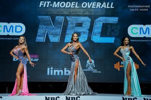 FIT-MODEL OVERALL